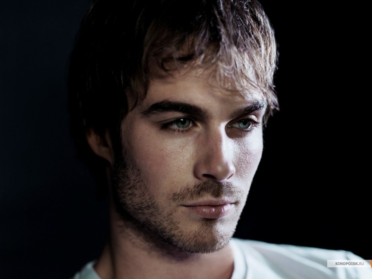 Deimon-Salvatore------Ian-Somerhalder-419447_1280 -  