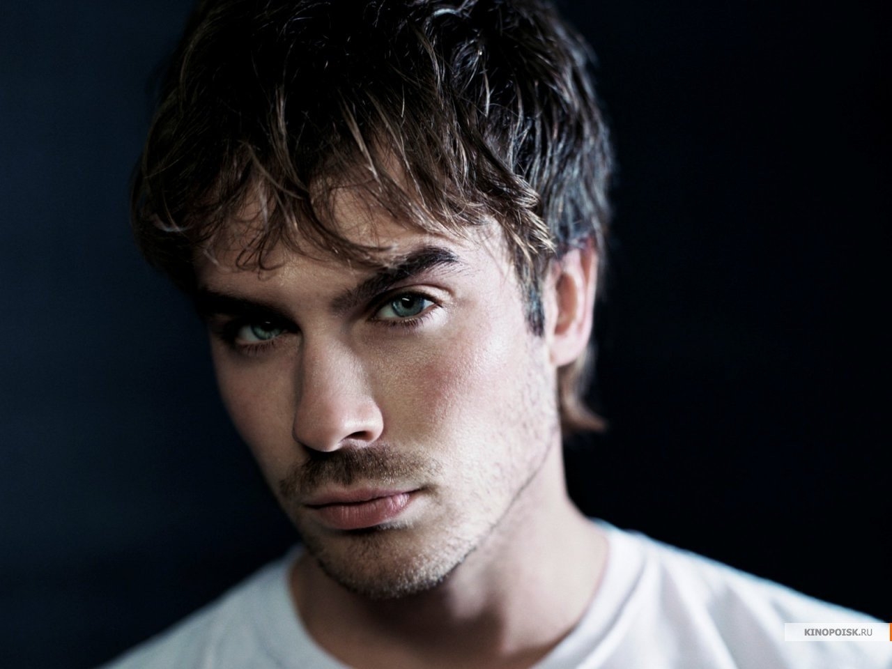 Deimon-Salvatore------Ian-Somerhalder-419448_1280 -  