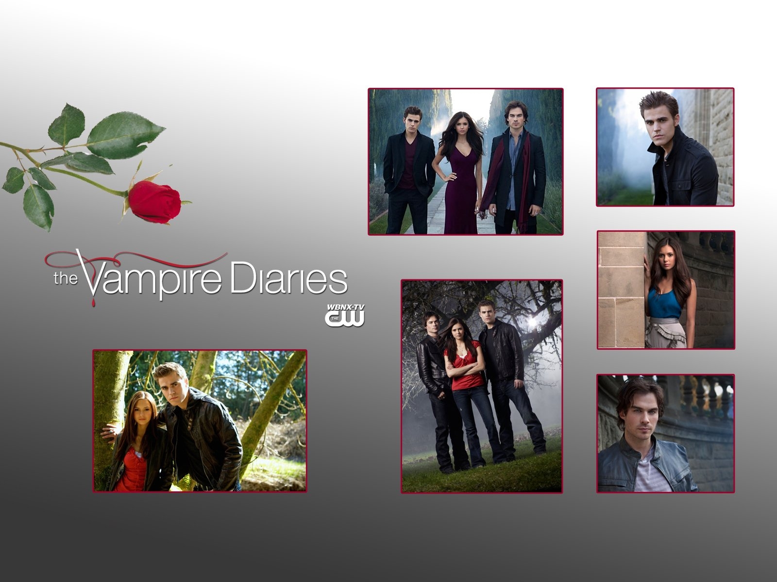 Dnevniki-Vampira-Vampire-Diaries----1257292--w--1600 - дневники вампира