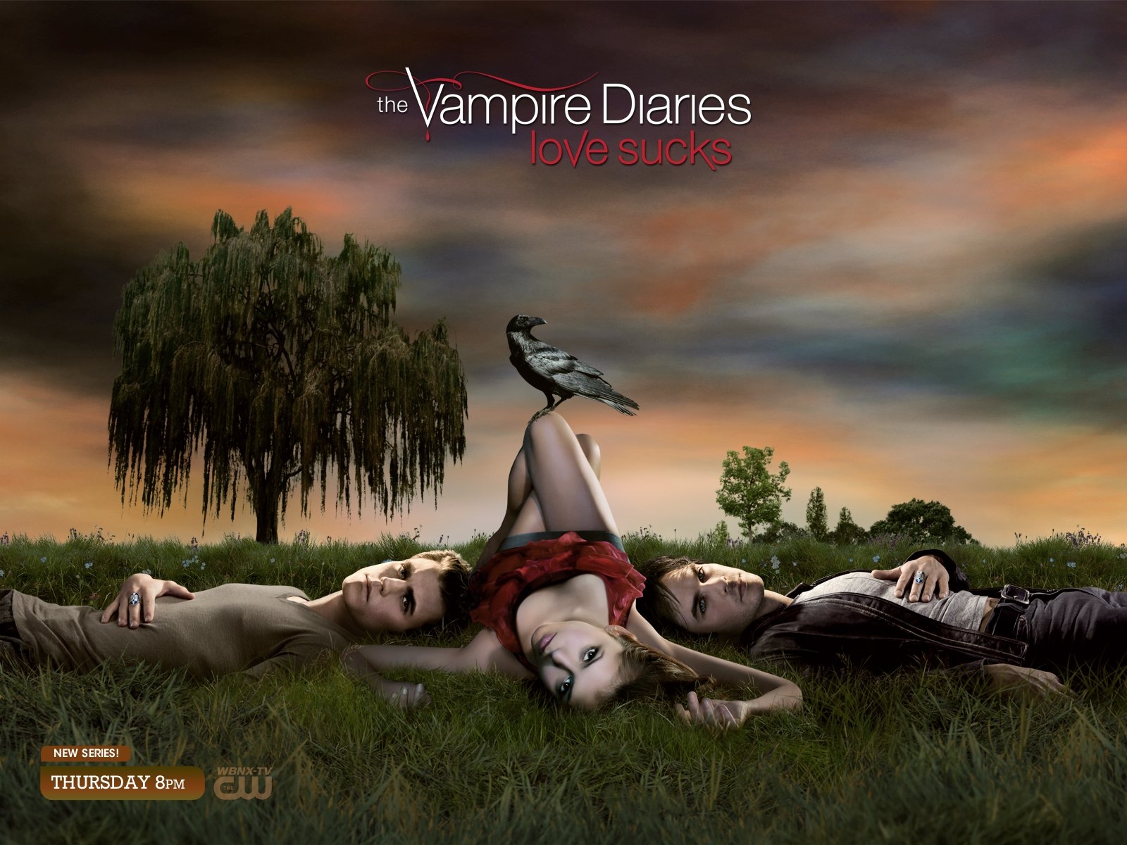Dnevniki-Vampira-Vampire-Diaries----1257295--w--1600 - дневники вампира