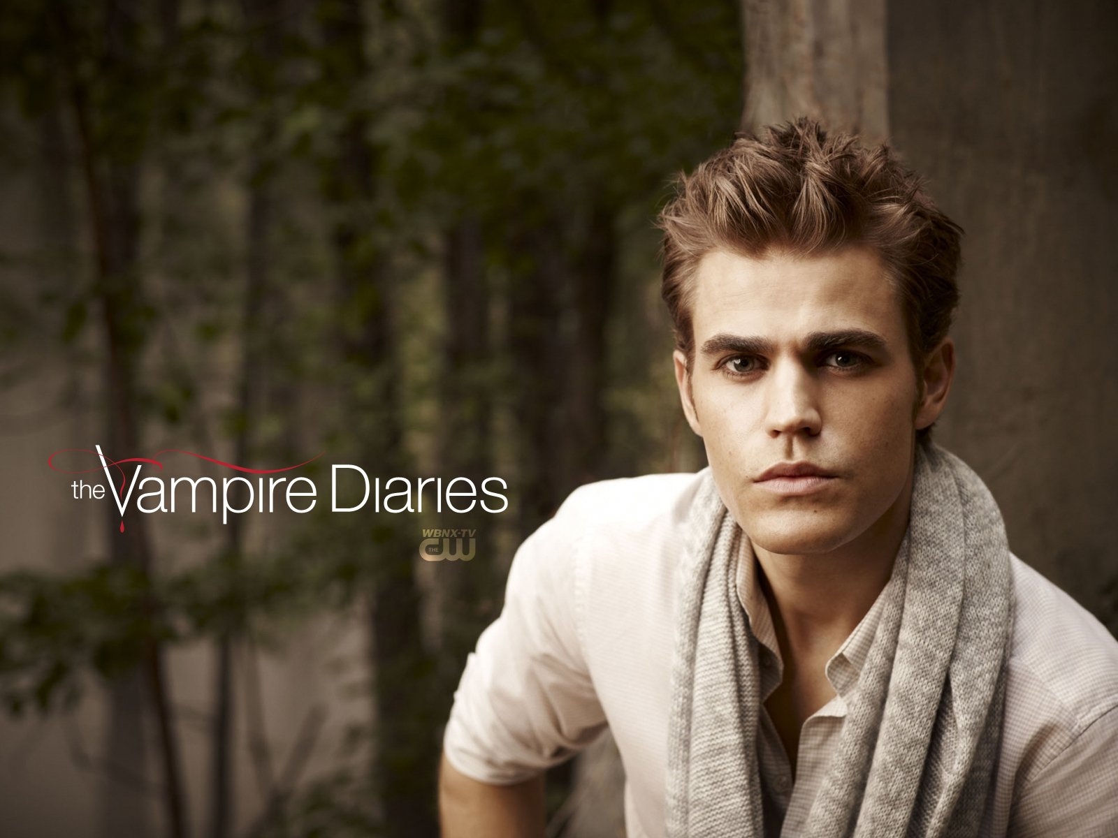 Dnevniki-Vampira-Vampire-Diaries----1369606--w--1600 - дневники вампира